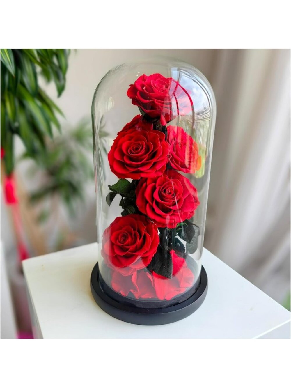 Large Preserved Roses in Glass Dome with LED Lights - Eternal Flowers Gift for
